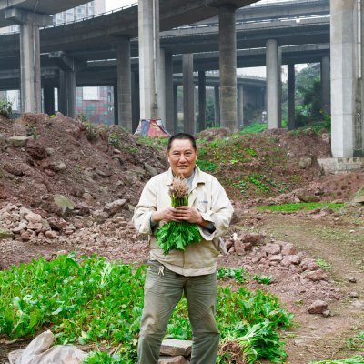 Heterotopia - Chongqing´s utopic gardens